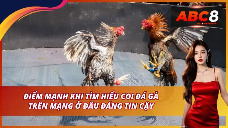 Chất lượng đường truyền ổn định