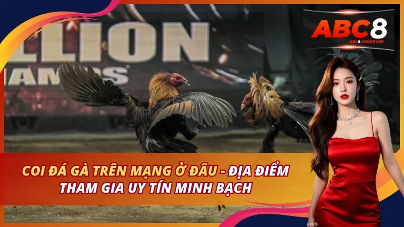 Coi Đá Gà Trên Mạng Ở Đâu