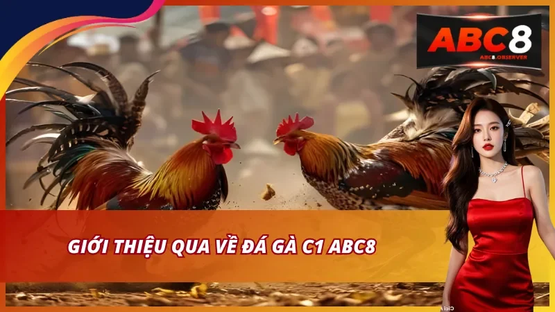 Khái niệm và đặc trưng của C1